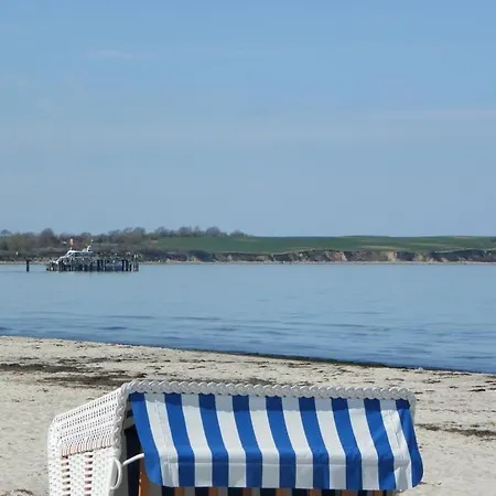 Victoria,seepferdchen